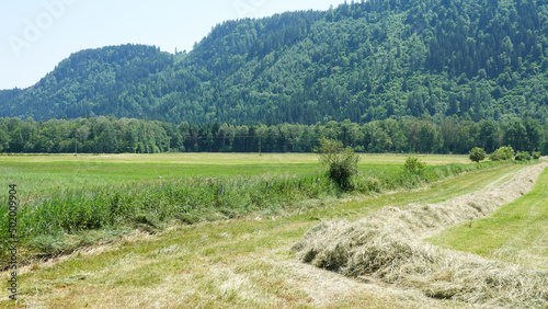 Heuernte in Kärnten photo