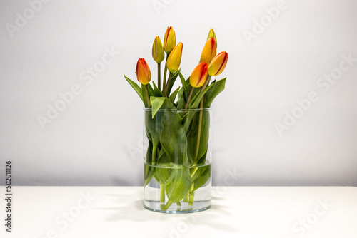 Czerwone tulipany w szkle na stole na białym tle