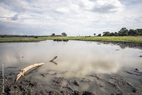 The Parakrama reservoir in Sri Lanka photographed during the drought season. photo