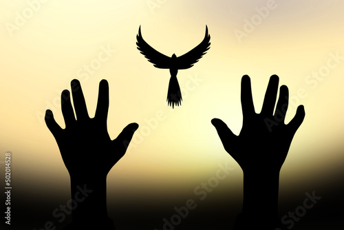 Concept of freedom. shadow dove flies over a human hand. golden sun background in the morningackground in the morning