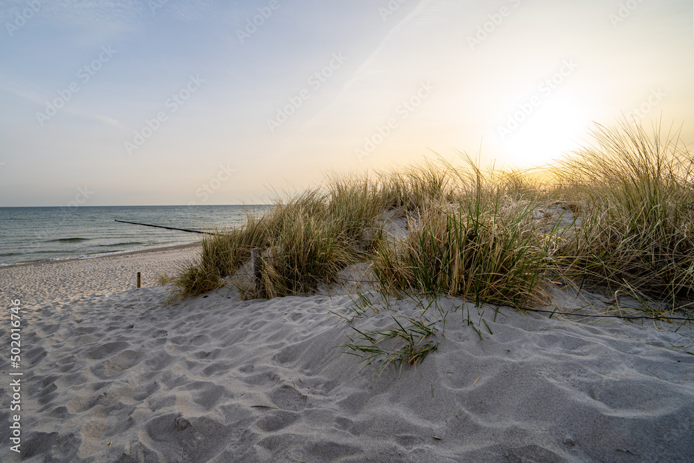Ostsee Gespensterwald Strandkorb Rostock Warnemünde Strand Bäume Meer Salzwasser Küste Brandung Steilküste Wolken Gezeiten Himmel Wolken Stralsund Sonnenaufgang Sonnenuntergang Boot Ostsee Gespensterwald Strandkorb Rostock Warnemünde Strand Bäume Meer Salzwasser Küste Brandung Steilküste Wolken Gezeiten Himmel Wolken Stralsund Sonnenaufgang Sonnenuntergang Boot