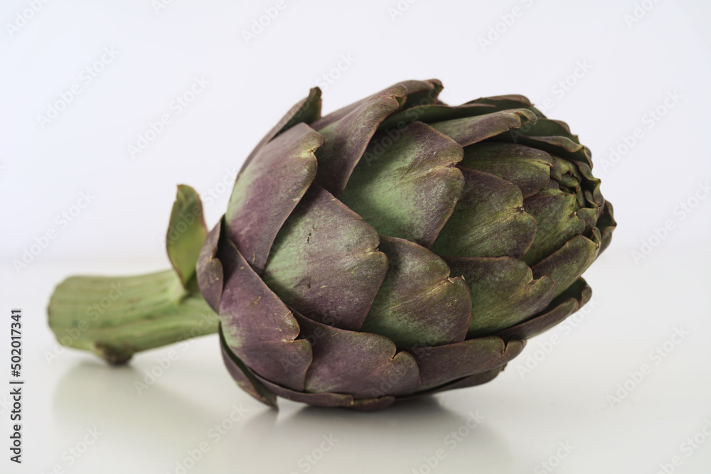 Obraz premium Artischocke im Detail, Cynara scolymus zur gesunden Ernährung 