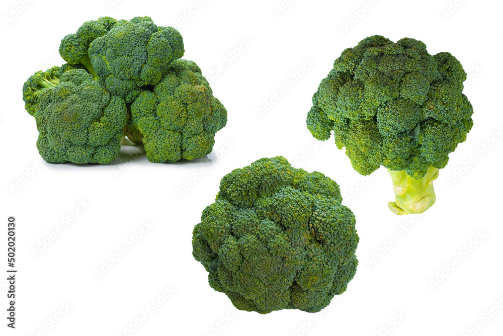 Fresh tasty broccoli isolated on white background. Fresh tasty broccoli isolated on white background.