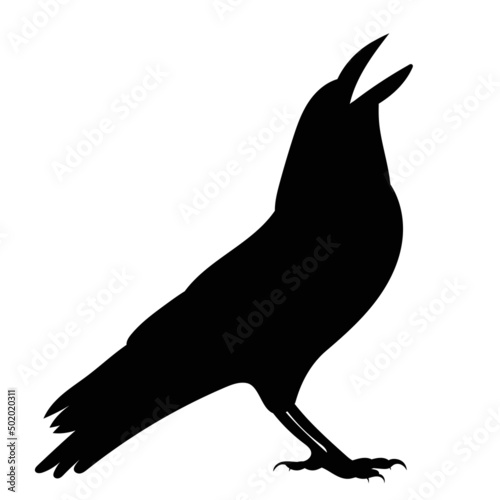 crows black silhouette, on white background, isolated