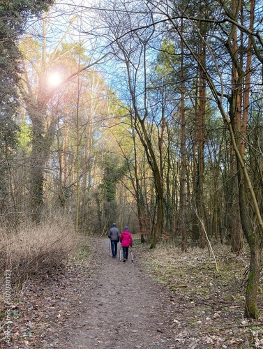 Rentner im Wald