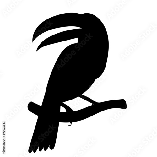 toucan black silhouette, on white background, isolated, vector