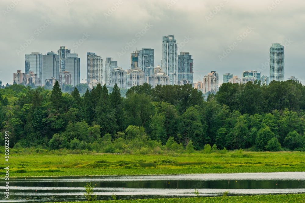 View of a city in the park on overcasted sky background View of a city in the park on overcasted sky background