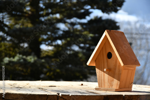 NICHOIR OISEAUX