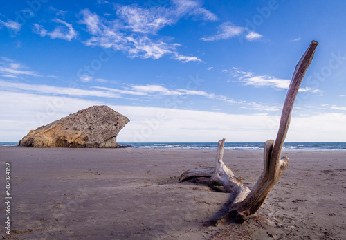 Paisaje de costa con tronco en primer plano y roca de fondo con cielo azul con nubes blancas.