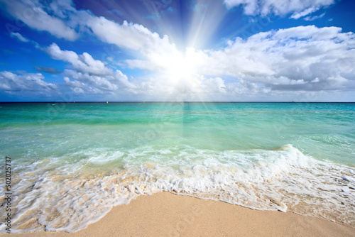 Fototapeta Naklejka Na Ścianę i Meble -  Beautiful beach and waves of Caribbean Sea