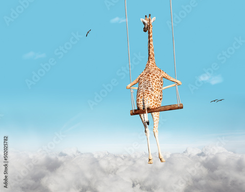 Giraffe swinging on swing bar over blue sky with clouds