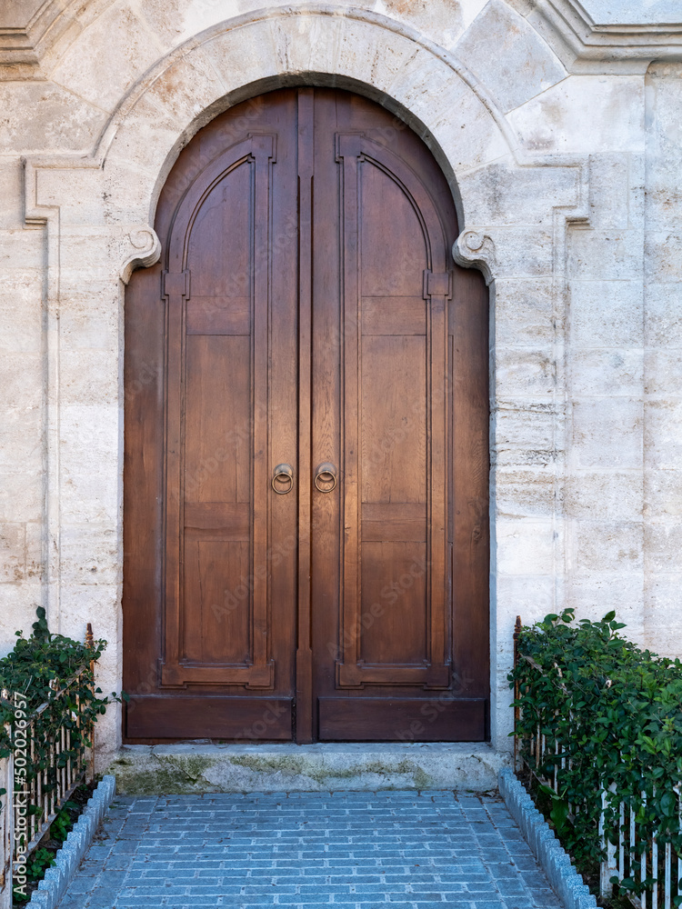 historical wooden door texture background, front view