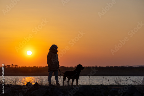 A girl walks with a friend - a guard dog of the Rottweiler breed against the backdrop of a lake and sunset