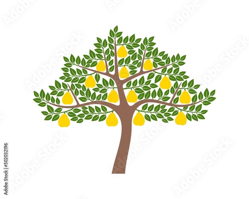 Pear tree logo. Isolated pear tree on white background