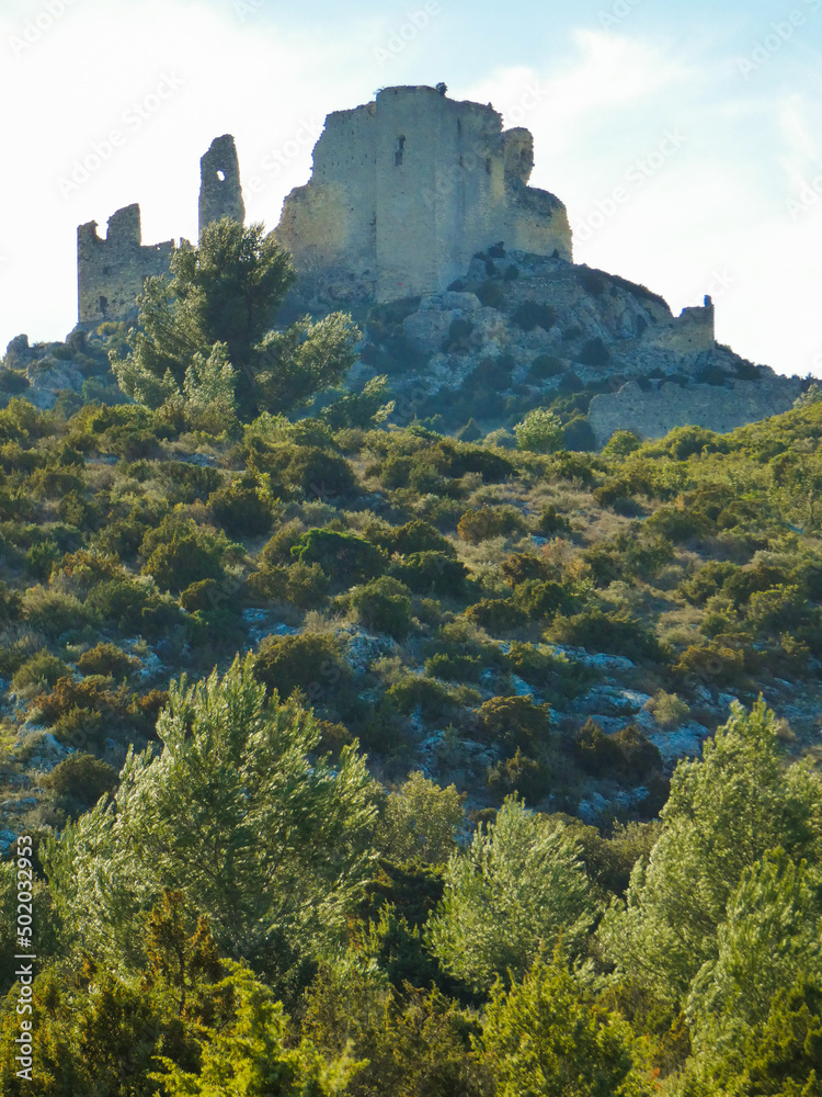 Ruins of the castle of Roquemartine also called castle of Queen Jeanne near Eyguieres in the Alpilles in Provence in France 