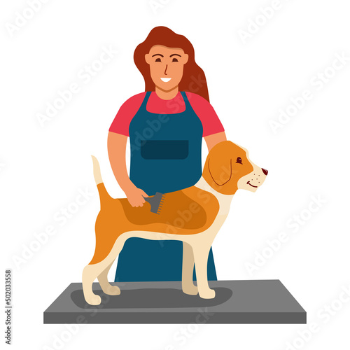 Professional barber grooming dog.Woman of pet for cutting and brushing fur.Character of cute dog.Hairdresser for animal.Dog haircut.The girl combs the beagle fur.