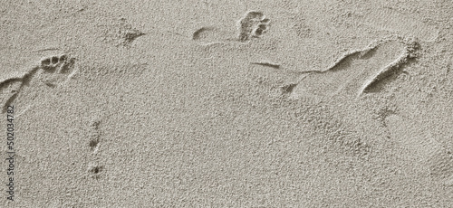 Footprints and vehicles on the soft sand beach