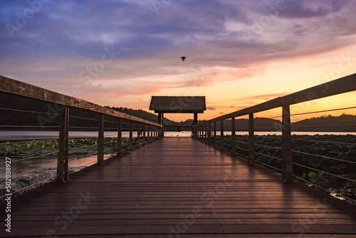 a bridge in Dongqian lake wetland of mashan under sunset photo