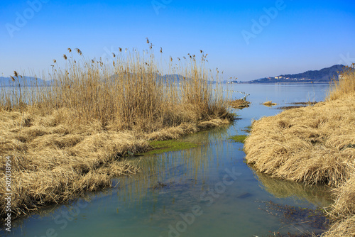 Dongqian lake wetland of mashan photo