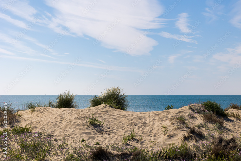 Dunes de la plage du Petit Travers de Carnon, près de Montpellier, au printemps (Occitanie, France) Dunes de la plage du Petit Travers de Carnon, près de Montpellier, au printemps (Occitanie, France)