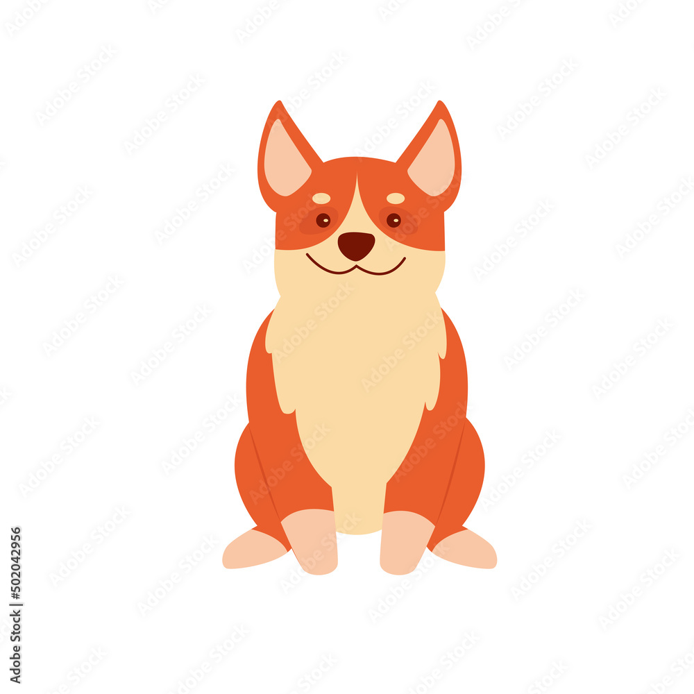 Front view of sitting corgi puppy. Funny cute dog friend, domestic family dog vector illustration