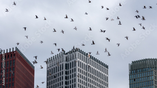 Fototapeta Naklejka Na Ścianę i Meble -  buildings in the city