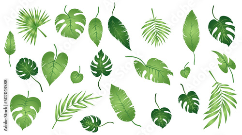 Canvas Set of tropical exotic leaves of different types