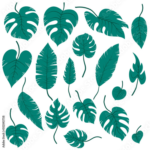 Set of green hand drawn tropical exotic leaves of different types. Jungle plants. Hibiscus leaves  monstera and palm leaves. Cartoon botanical vector illustration isolated on white background