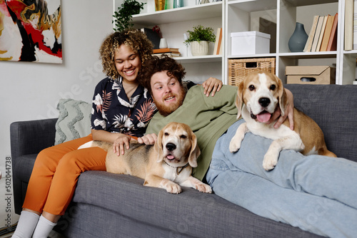 Bearded overweight man lying on sofa with his pets around and his girlfriend sitting behind and embracing him, they spending time at home