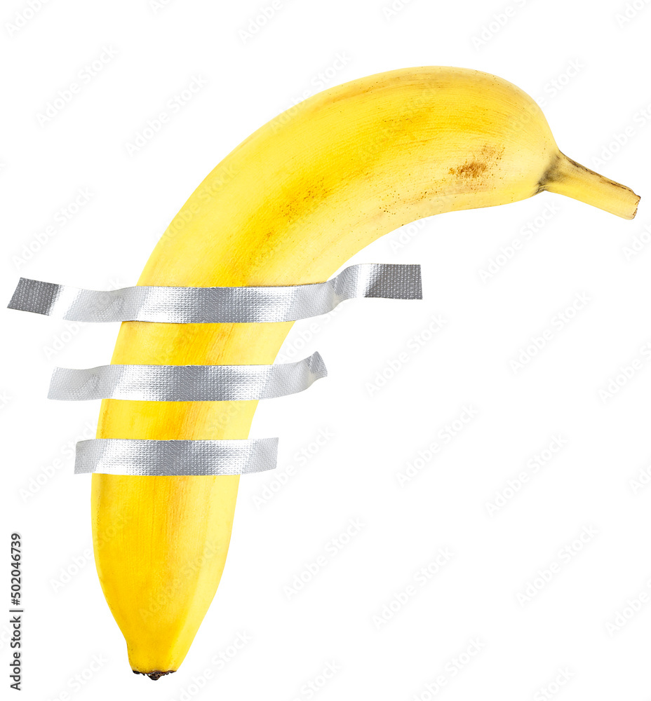 Banana duct taped to the white wall. Yellow banana on the white wall