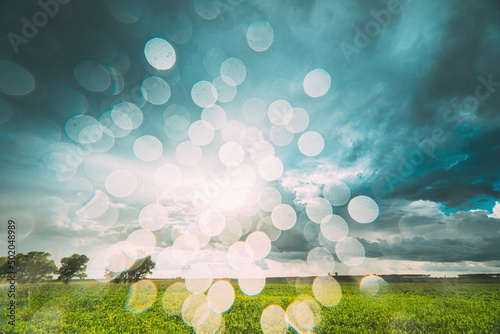 Rain Rainy Clouds Above Countryside Rural Field Landscape With Young Green Wheat Sprouts In Summer Cloudy Sunset Evening. Heavy Clouds Above Agricultural Field. Young Wheat Shoots 4K , . photo