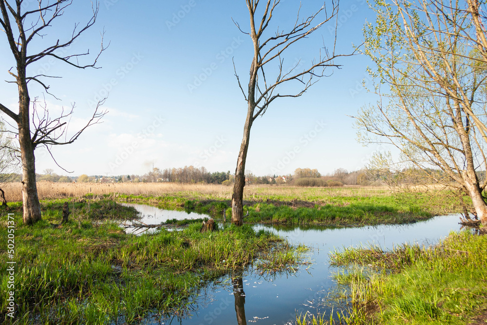 Wiosna nad rzeką 