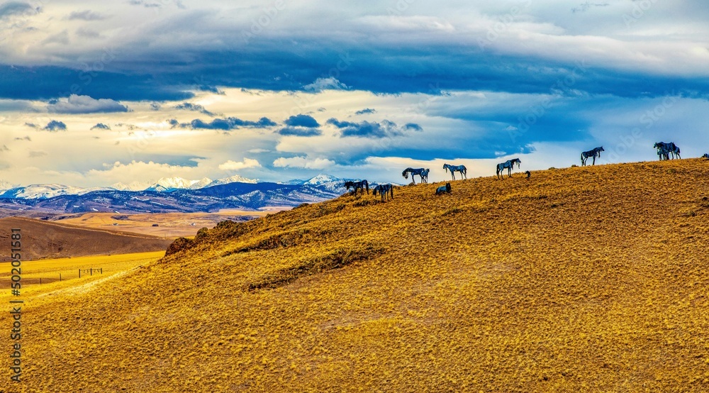 Monument to wild horse in Montana