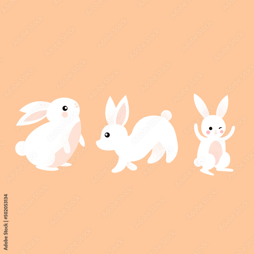 rabbit set bunny collection new year 2023 vector