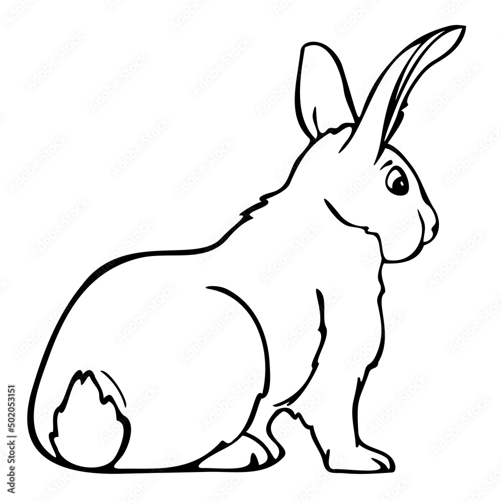 Obraz premium Vector illustration of hand drawn rabbit. Black and white bunny.