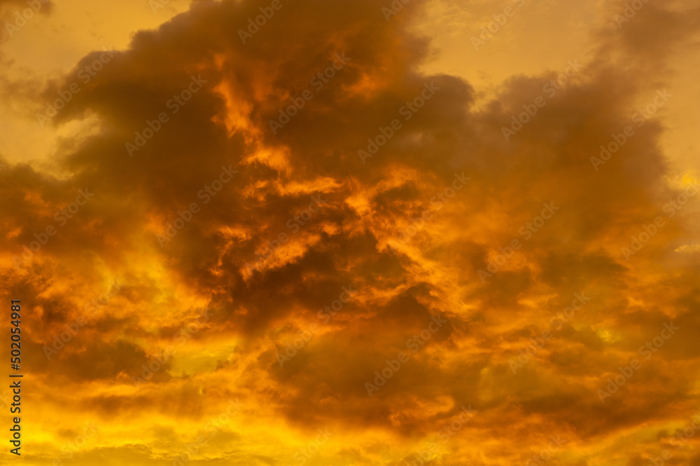 Yellow clouds in the sky, summer sunset