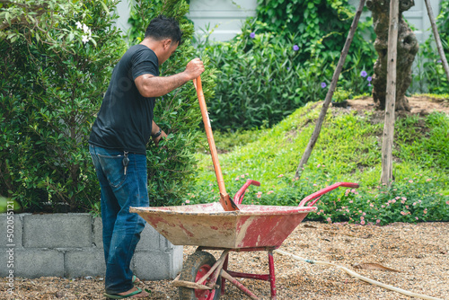 Asian professional gardener use shovels to prepare soil on wheelbarrows for planting ornamental plants in garden. Farmer with shovel in his hands. Outdoor work concept. Planting and decorate the park.