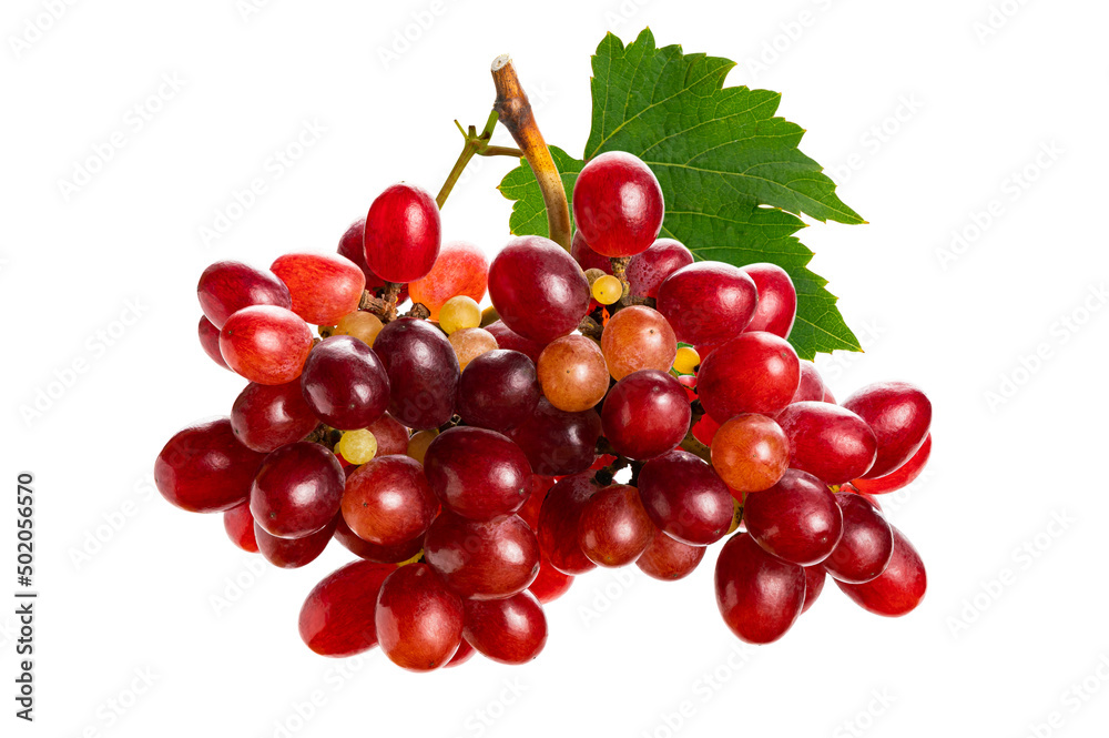 Bunch of ripe red grapes with green leaf isolated on white background with clipping path.