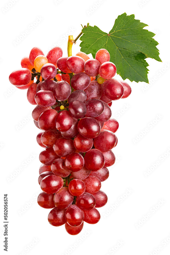 Bunch of ripe Crimson Seedless Grapes with green leaf isolated on white background with clipping path.