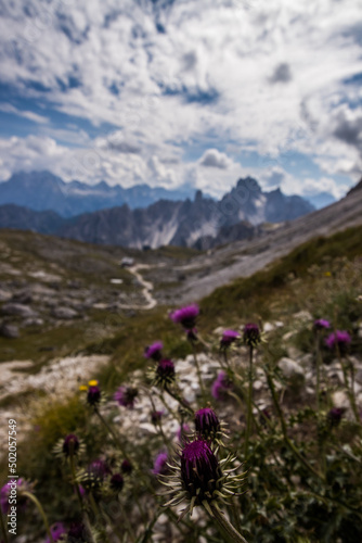 Mountain trail Tre Cime di Lavaredo in Dolomites © tmag