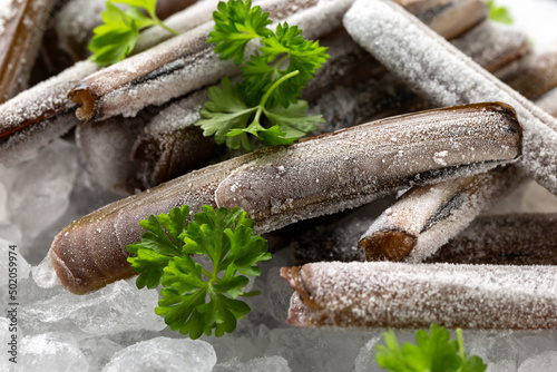 Frozen raw razor clam shellfish on ice, healthy pescatarian sea food concept photo