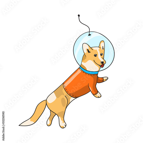 Welsh corgi dog in a spacesuit in space