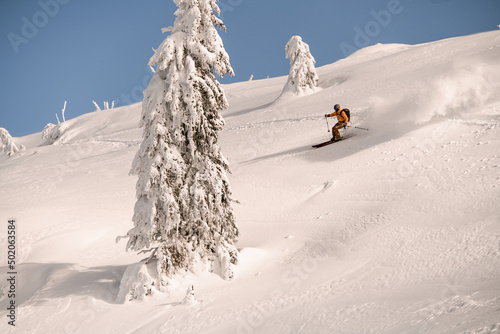 Fotografia skier descending down the snowy hill on splitboard and splashing powder snow