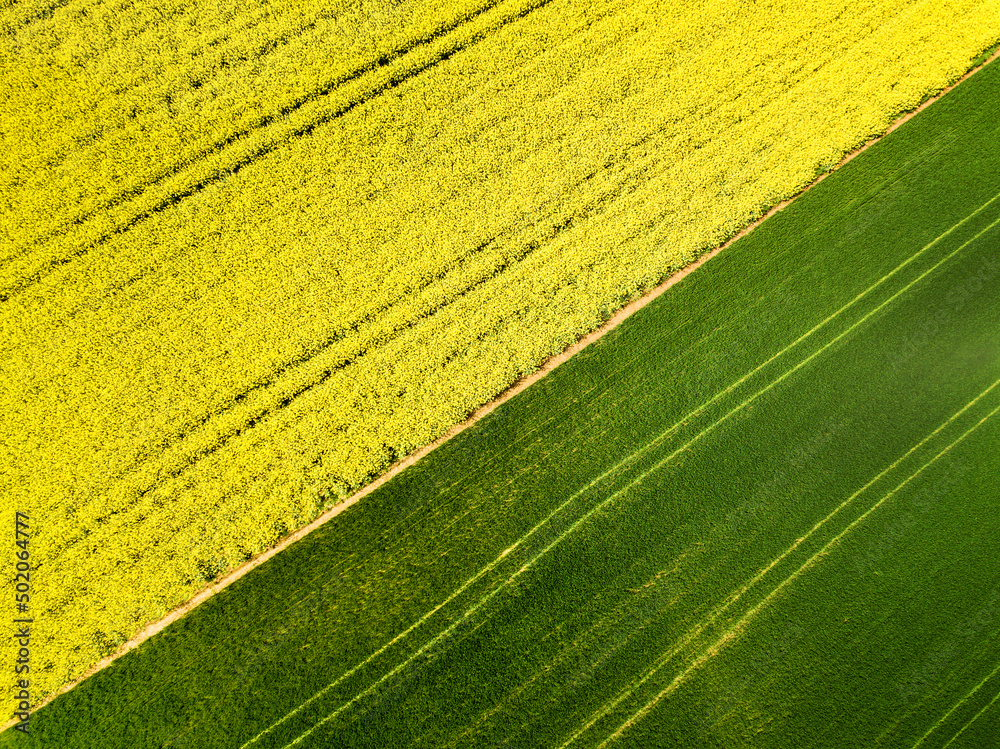 Aerial image of agricultural field with different crop growth after polyculture or permaculture farming method