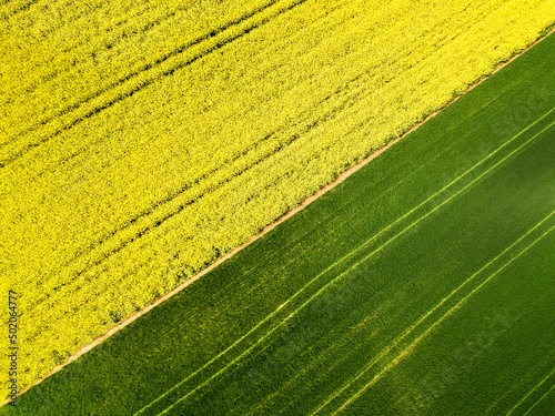 Obraz na płótnie Aerial image of agricultural field with different crop growth after polyculture or permaculture farming method w salonie
