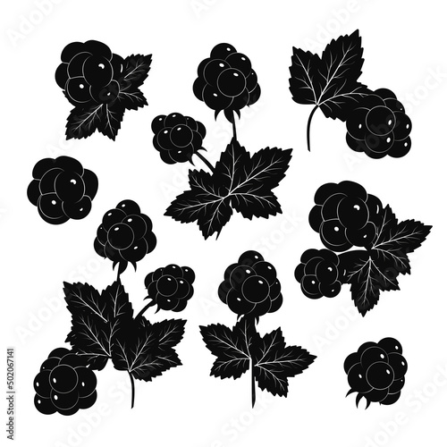 Raspberries, blueberries, cloudberries. Black silhouette