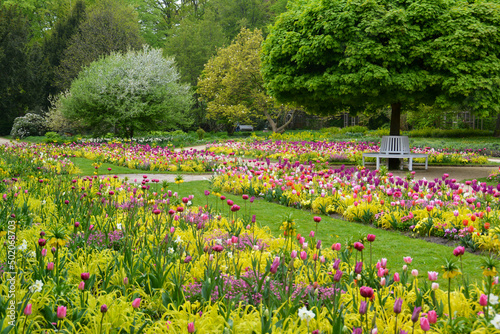 Botanischer Garten in Gütersloh in NRW, buntes Blumenbeet mit Flattergras, Kaiserkronen, Tulpen, Vergissmeinnicht, Gänseblümchen und Narzissen