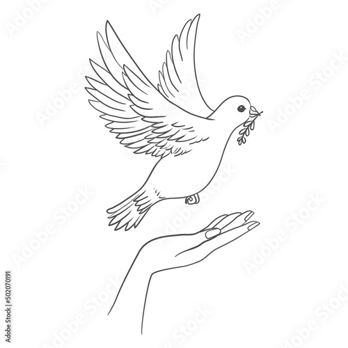Peace dove with olive branch in the beak flying and hands down.