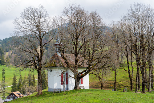 Schweiz bei Oberiberg in der Nähe von Roggenstock bei Schwyz photo