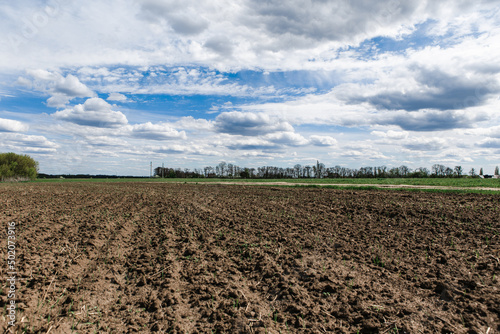 View of a spring plowed field, a blooming tree, and a beautiful sky with clouds